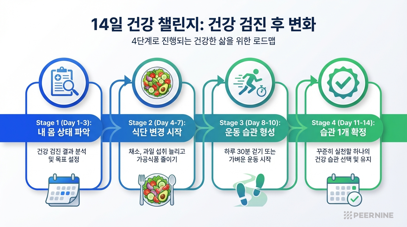 검진 후 14일 건강 챌린지 타임라인 인포그래픽 - Day 1-3 내몸상태파악, Day 4-7 식단변경, Day 8-10 운동습관, Day 11-14 습관확정
